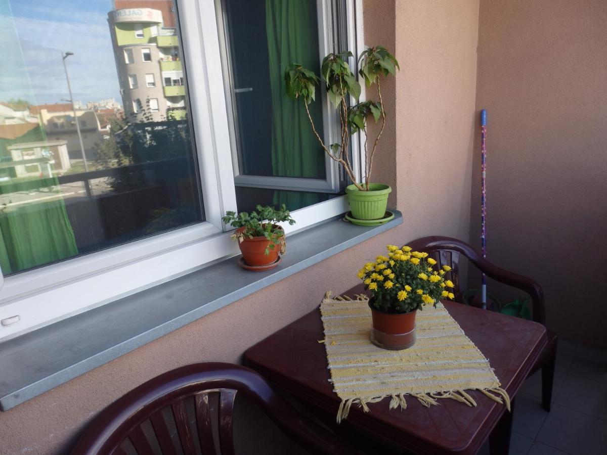 Apartment Erika 2 Novi Sad Exterior photo
