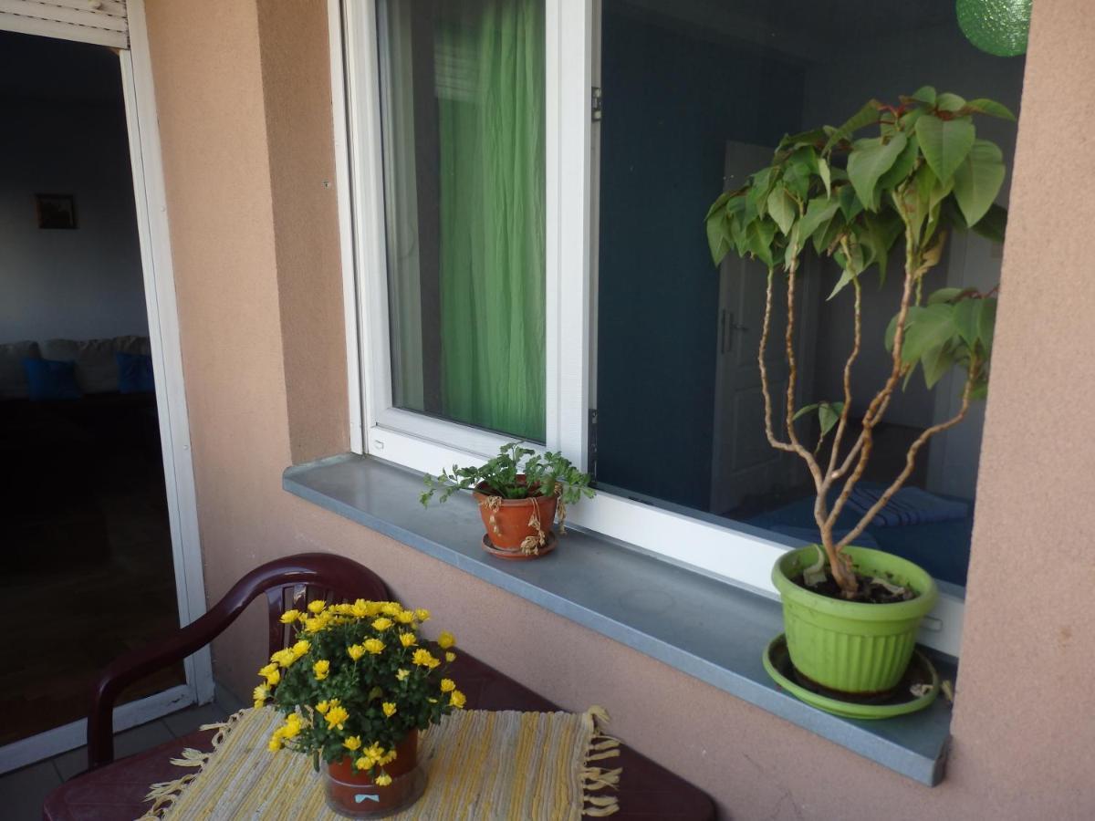 Apartment Erika 2 Novi Sad Exterior photo