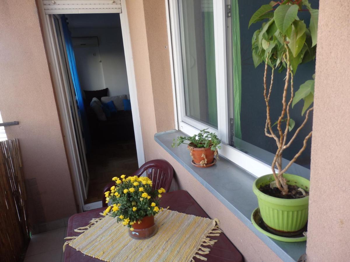 Apartment Erika 2 Novi Sad Exterior photo